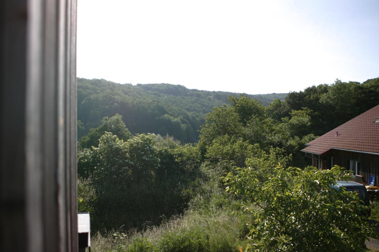 Apartmán Rech Hof Urlaub Auf Dem Bauernhof Schalkenbach Exteriér fotografie