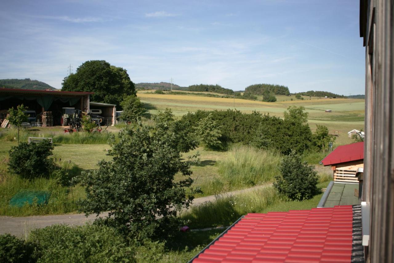Apartmán Rech Hof Urlaub Auf Dem Bauernhof Schalkenbach Exteriér fotografie