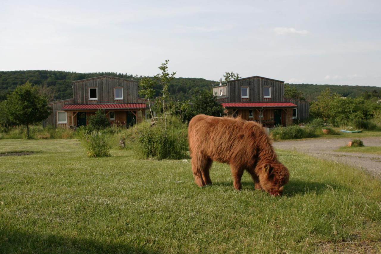 Apartmán Rech Hof Urlaub Auf Dem Bauernhof Schalkenbach Exteriér fotografie