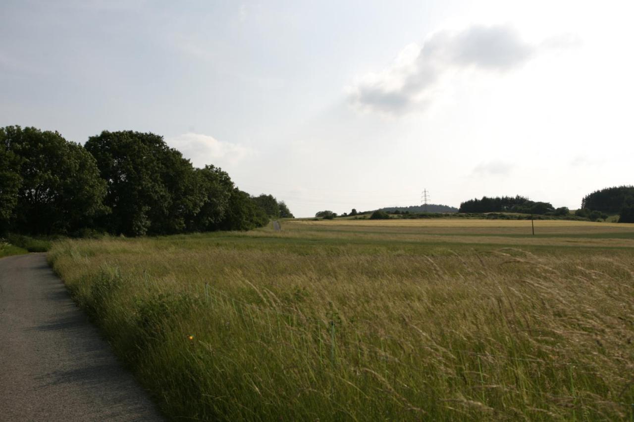 Apartmán Rech Hof Urlaub Auf Dem Bauernhof Schalkenbach Exteriér fotografie