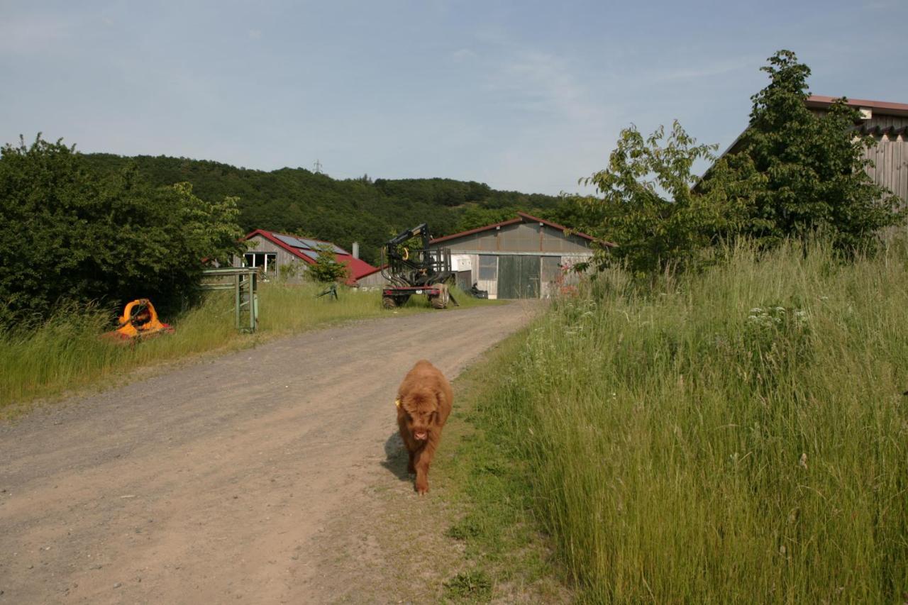 Apartmán Rech Hof Urlaub Auf Dem Bauernhof Schalkenbach Exteriér fotografie