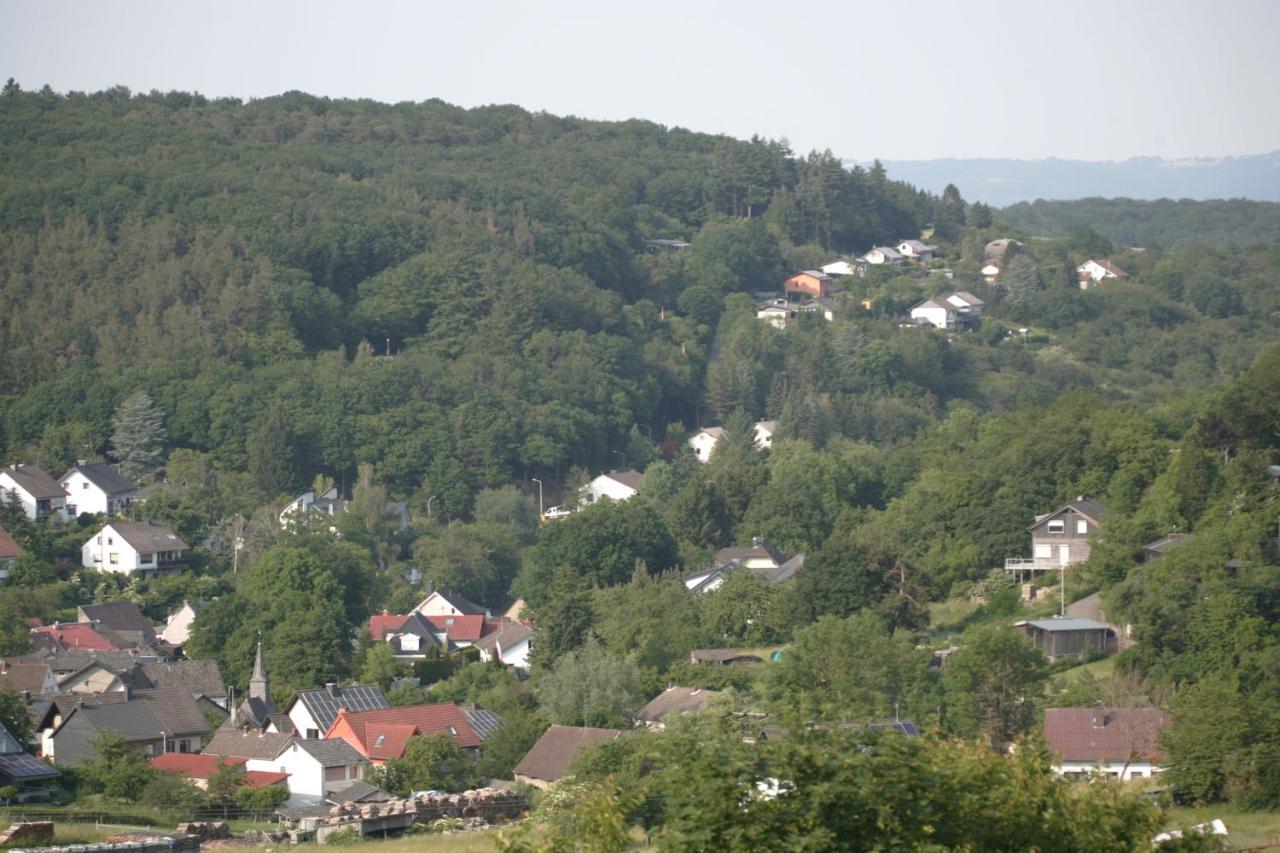 Apartmán Rech Hof Urlaub Auf Dem Bauernhof Schalkenbach Exteriér fotografie